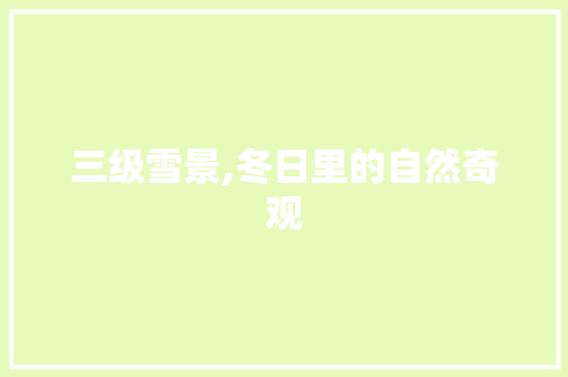 三级雪景,冬日里的自然奇观