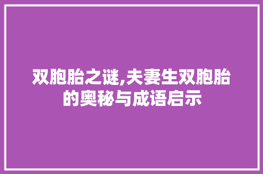 双胞胎之谜,夫妻生双胞胎的奥秘与成语启示