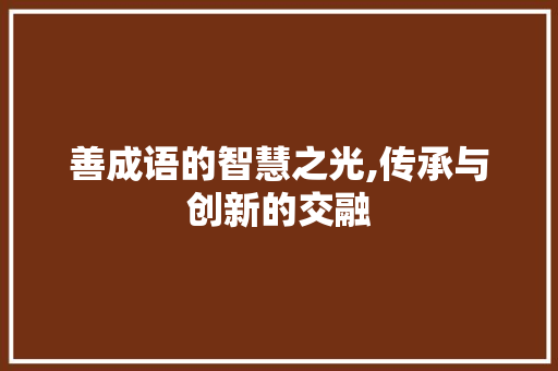 善成语的智慧之光,传承与创新的交融
