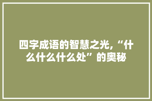 四字成语的智慧之光,“什么什么什么处”的奥秘