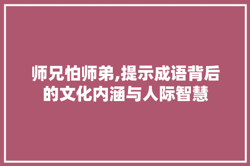 师兄怕师弟,提示成语背后的文化内涵与人际智慧 应用文