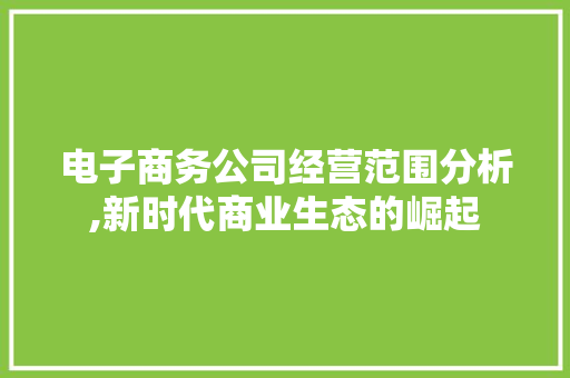 电子商务公司经营范围分析,新时代商业生态的崛起