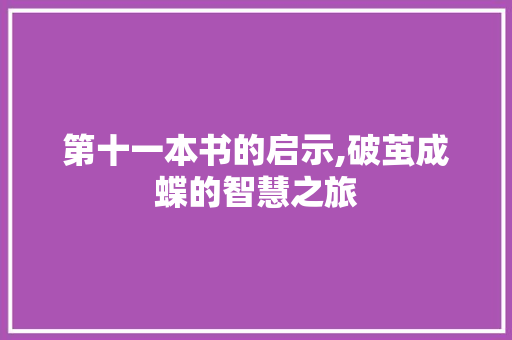 第十一本书的启示,破茧成蝶的智慧之旅