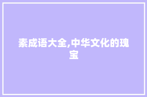 素成语大全,中华文化的瑰宝