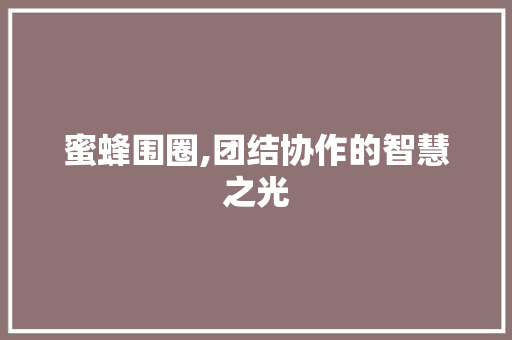 蜜蜂围圈,团结协作的智慧之光