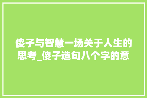 傻子与智慧一场关于人生的思考_傻子造句八个字的意思 诗词体裁