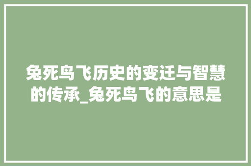 兔死鸟飞历史的变迁与智慧的传承_兔死鸟飞的意思是什么字