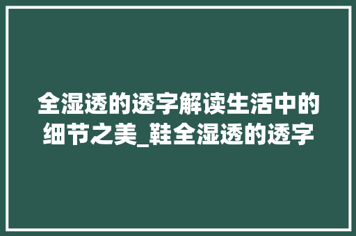 全湿透的透字解读生活中的细节之美_鞋全湿透的透字什么意思