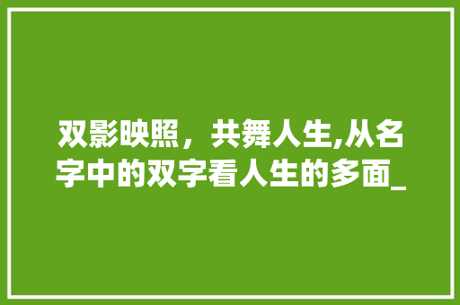 双影映照，共舞人生,从名字中的双字看人生的多面_起名字表示双的意思的字