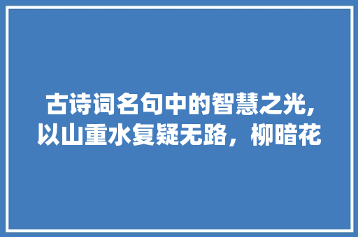 古诗词名句中的智慧之光,以山重水复疑无路，柳暗花明又一村为例_古诗词名句20字的意思