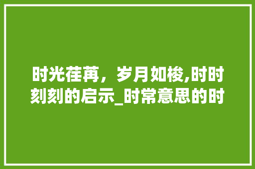 时光荏苒，岁月如梭,时时刻刻的启示_时常意思的时的四字词语