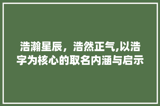 浩瀚星辰，浩然正气,以浩字为核心的取名内涵与启示_浩字取名的意思是啥呢
