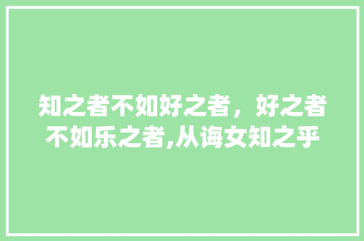 知之者不如好之者，好之者不如乐之者,从诲女知之乎的知字谈求知之路_诲女知之乎的知字的意思