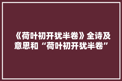 《荷叶初开犹半卷》全诗及意思和“荷叶初开犹半卷”的拼音注释