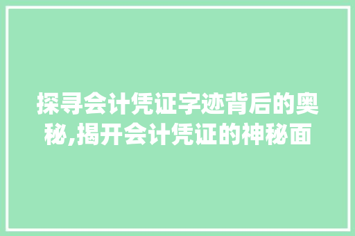 探寻会计凭证字迹背后的奥秘,揭开会计凭证的神秘面纱_会计凭证的字是什么意思