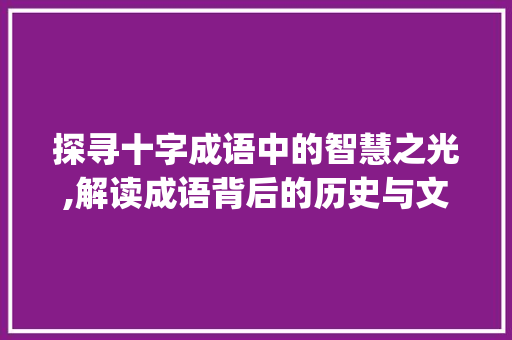 探寻十字成语中的智慧之光,解读成语背后的历史与文化_十的成语意思是什么字啊