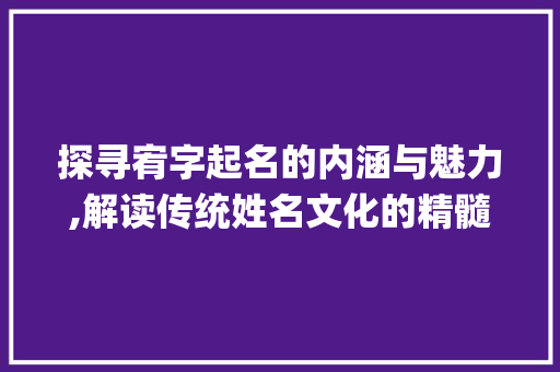 探寻宥字起名的内涵与魅力,解读传统姓名文化的精髓_宥字起名的字意思是啥呢