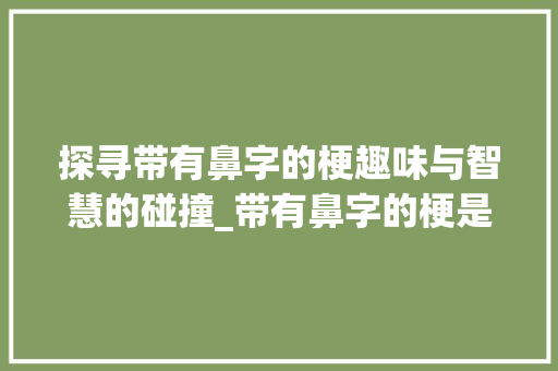 探寻带有鼻字的梗趣味与智慧的碰撞_带有鼻字的梗是什么意思