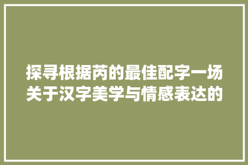 探寻根据芮的最佳配字一场关于汉字美学与情感表达的探索之旅_芮的最佳配字是什么意思