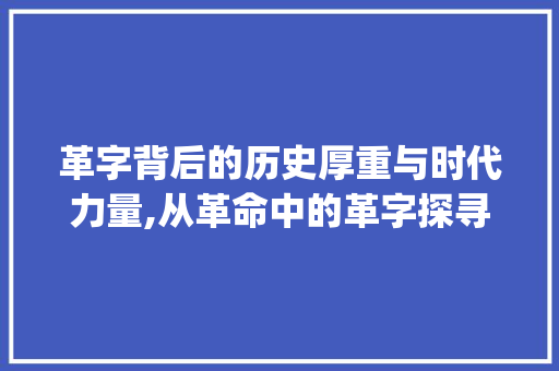 革字背后的历史厚重与时代力量,从革命中的革字探寻其深层含义_革命中的革字是什么意思