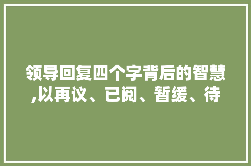 领导回复四个字背后的智慧,以再议、已阅、暂缓、待定为例_领导回复四个字的意思