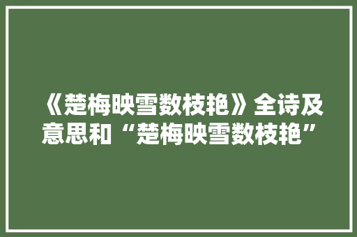 《楚梅映雪数枝艳》全诗及意思和“楚梅映雪数枝艳”的拼音注释 诗词鉴赏