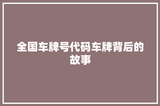 全国车牌号代码车牌背后的故事