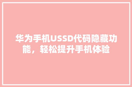 华为手机USSD代码隐藏功能，轻松提升手机体验 会议纪要