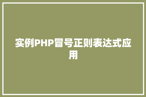 实例PHP冒号正则表达式应用