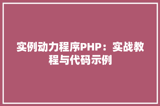实例动力程序PHP：实战教程与代码示例 社交媒体