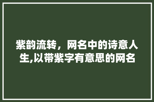 紫韵流转，网名中的诗意人生,以带紫字有意思的网名女为例_带紫字有意思的网名女