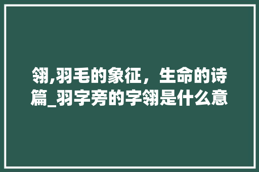 翎,羽毛的象征，生命的诗篇_羽字旁的字翎是什么意思