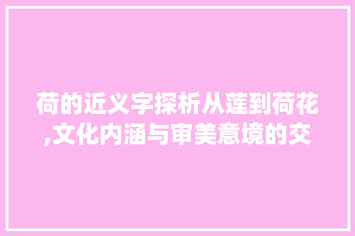 荷的近义字探析从莲到荷花,文化内涵与审美意境的交织_荷的近义字是什么意思