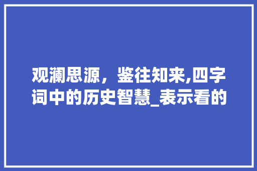 观澜思源，鉴往知来,四字词中的历史智慧_表示看的意思四字词