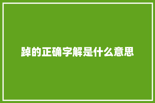 踔的正确字解是什么意思