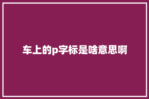 车上的p字标是啥意思啊