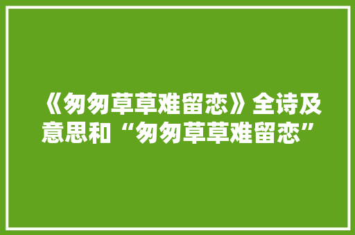 《匆匆草草难留恋》全诗及意思和“匆匆草草难留恋”的拼音注释