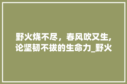 野火烧不尽，春风吹又生,论坚韧不拔的生命力_野火烧不尽的尽字的意思