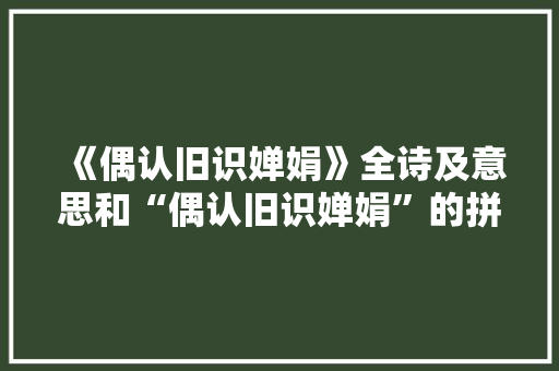 《偶认旧识婵娟》全诗及意思和“偶认旧识婵娟”的拼音注释