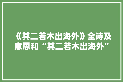 《其二若木出海外》全诗及意思和“其二若木出海外”的拼音注释