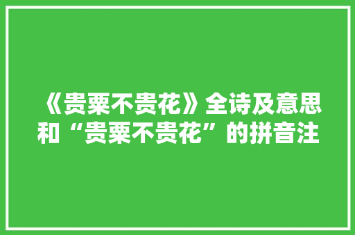 《贵粟不贵花》全诗及意思和“贵粟不贵花”的拼音注释