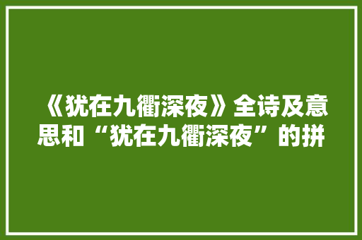 《犹在九衢深夜》全诗及意思和“犹在九衢深夜”的拼音注释
