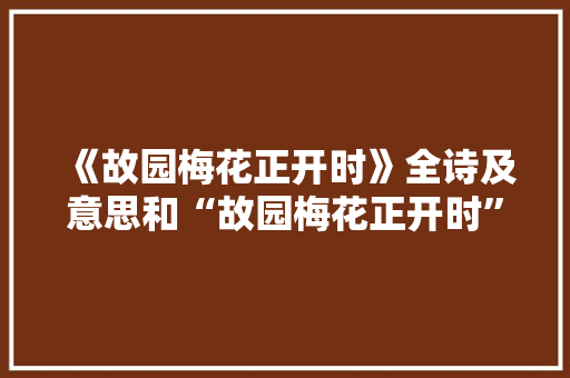 《故园梅花正开时》全诗及意思和“故园梅花正开时”的拼音注释