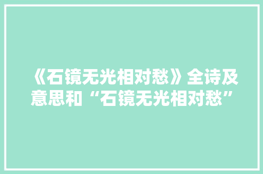 《石镜无光相对愁》全诗及意思和“石镜无光相对愁”的拼音注释 诗词鉴赏