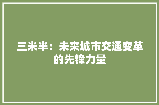 三米半：未来城市交通变革的先锋力量