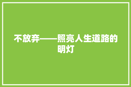 不放弃——照亮人生道路的明灯