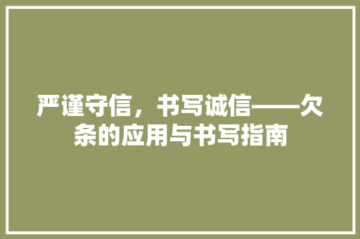 严谨守信，书写诚信——欠条的应用与书写指南
