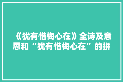 《犹有惜梅心在》全诗及意思和“犹有惜梅心在”的拼音注释