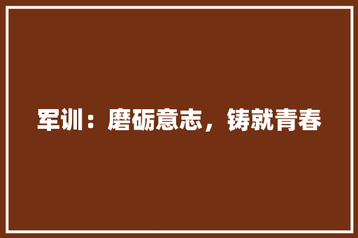 军训：磨砺意志，铸就青春