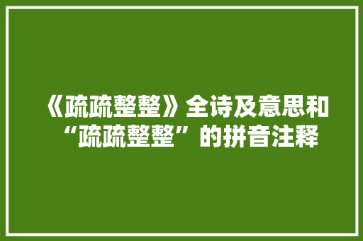 《疏疏整整》全诗及意思和“疏疏整整”的拼音注释